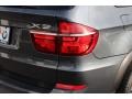 Platinum Gray Metallic - X5 xDrive 50i Photo No. 22