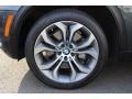Platinum Gray Metallic - X5 xDrive 50i Photo No. 32