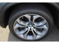 Platinum Gray Metallic - X5 xDrive 50i Photo No. 33