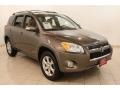 Pyrite Metallic - RAV4 Limited 4WD Photo No. 1