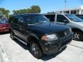 Solano Black Pearl - Montero Sport ES Photo No. 3