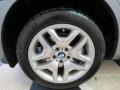 2008 BMW X3 3.0si Wheel and Tire Photo