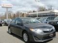 Magnetic Gray Metallic - Camry LE Photo No. 1