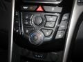 2013 Hyundai Elantra GT Controls
