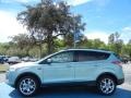 2013 Frosted Glass Metallic Ford Escape SEL 1.6L EcoBoost  photo #2
