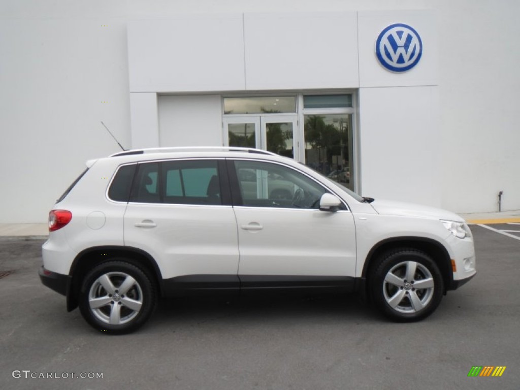 Candy White 2010 Volkswagen Tiguan Wolfsburg Edition Exterior Photo #78775451