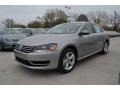 Tungsten Silver Metallic 2013 Volkswagen Passat 2.5L SE Exterior