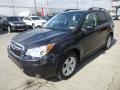 Dark Gray Metallic - Forester 2.5i Premium Photo No. 3