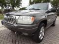 Graphite Metallic - Grand Cherokee Overland 4x4 Photo No. 2