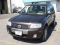 Charcoal Beige Metallic - Mariner Hybrid 4WD Photo No. 2