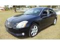 Onyx Black 2004 Nissan Maxima Gallery