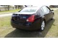 Onyx Black - Maxima 3.5 SE Photo No. 7