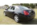 Onyx Black - Maxima 3.5 SE Photo No. 8
