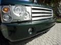 2004 Epsom Green Metallic Land Rover Range Rover HSE  photo #25
