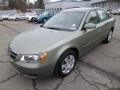 Natural Khaki Green 2008 Hyundai Sonata GLS Exterior