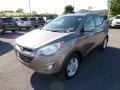 2013 Chai Bronze Hyundai Tucson GLS AWD  photo #3