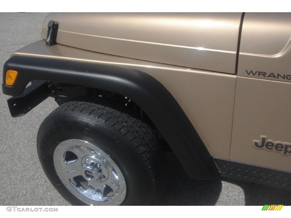 2000 Wrangler SE 4x4 - Desert Sand Pearl / Camel photo #31