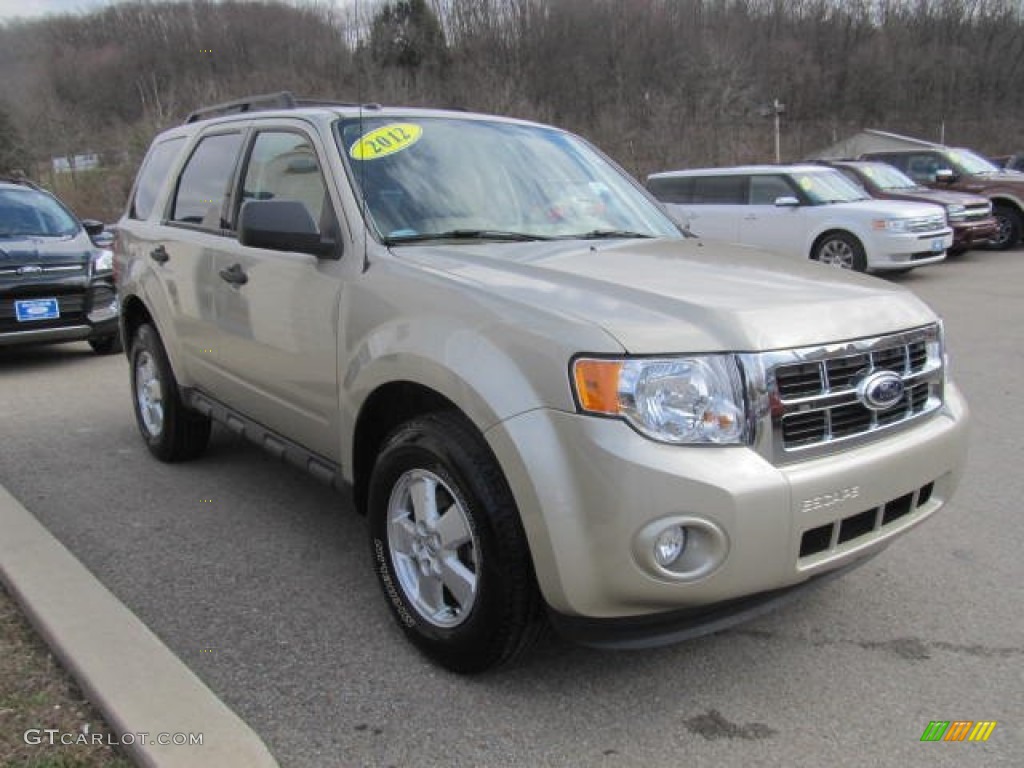 Gold Leaf Metallic 2012 Ford Escape XLT 4WD Exterior Photo #78793012