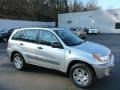 Titanium Metallic - RAV4 4WD Photo No. 1