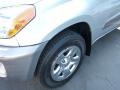 Titanium Metallic - RAV4 4WD Photo No. 8