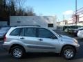 Titanium Metallic - RAV4 4WD Photo No. 10