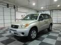 Titanium Metallic - RAV4  Photo No. 3