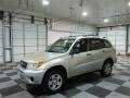 Titanium Metallic - RAV4  Photo No. 4