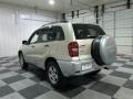 Titanium Metallic - RAV4  Photo No. 5