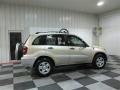 Titanium Metallic - RAV4  Photo No. 7