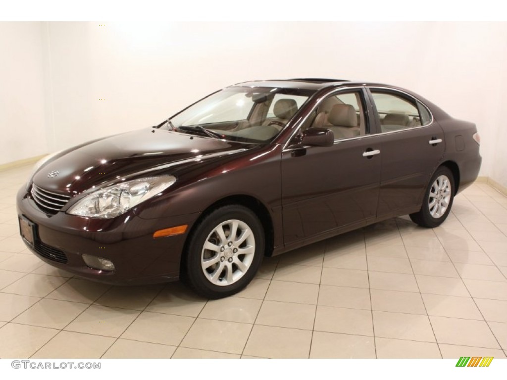 Black Garnet Pearl 2004 Lexus ES 330 Exterior Photo #78800294