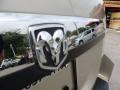 Light Sandstone Metallic - Grand Caravan SXT Photo No. 10