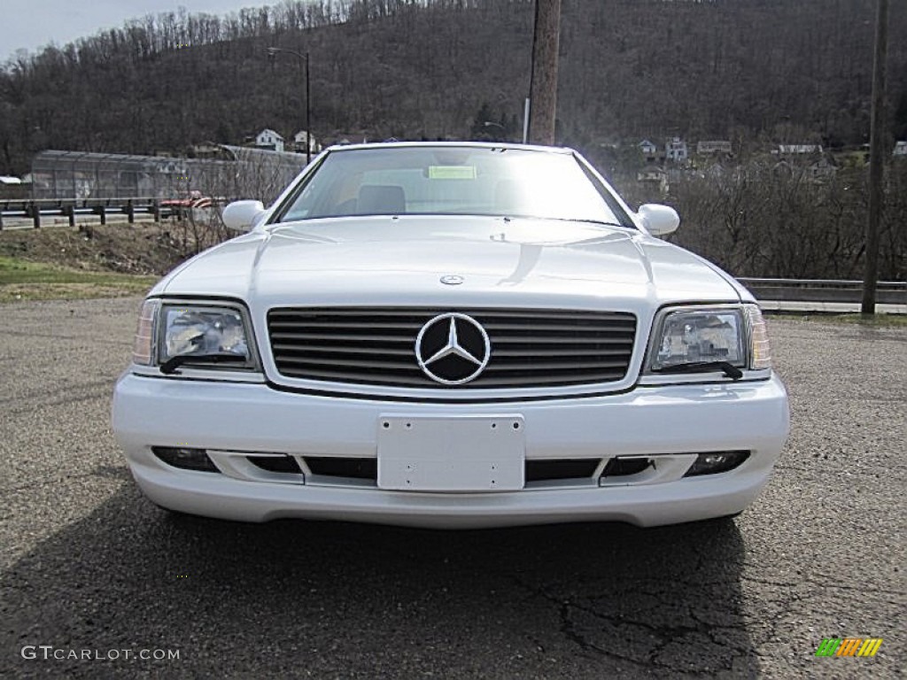 2001 SL 500 Roadster - Glacier White / Java photo #12