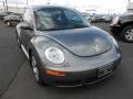 Platinum Grey - New Beetle 2.5 Coupe Photo No. 3