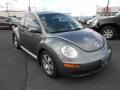 Platinum Grey - New Beetle 2.5 Coupe Photo No. 4