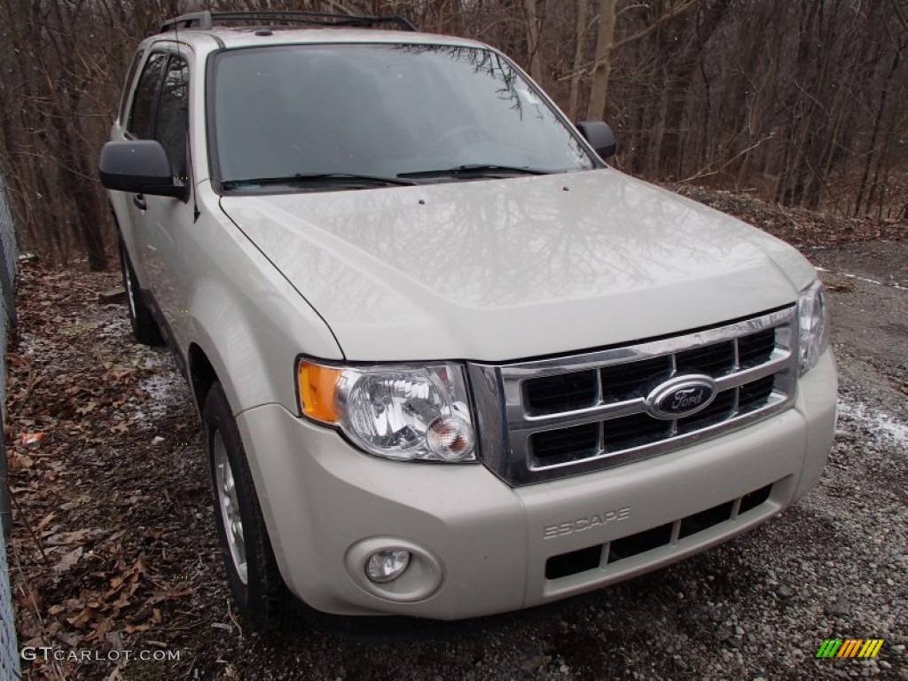 2009 Escape XLT V6 4WD - Light Sage Metallic / Stone photo #1