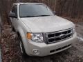 2009 Light Sage Metallic Ford Escape XLT V6 4WD  photo #1