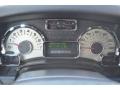 Charcoal Black/Camel Gauges Photo for 2007 Ford Expedition #78812900