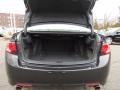 Graphite Luster Metallic - TSX Sedan Photo No. 31