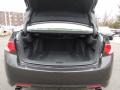2010 Acura TSX Sedan Trunk