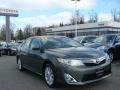 2012 Cypress Green Pearl Toyota Camry XLE  photo #1
