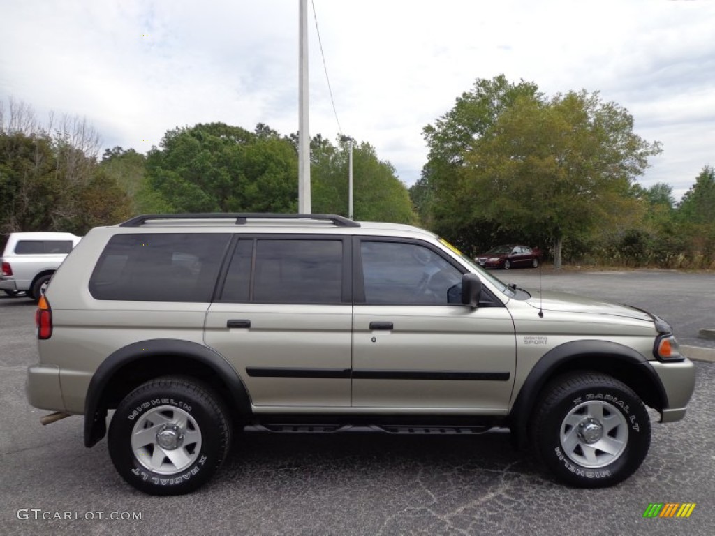 2003 Montero Sport LS - Sudan Beige Metallic / Tan photo #10