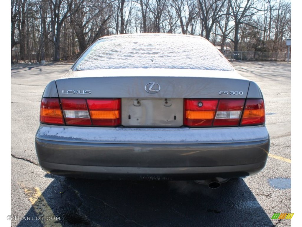 1999 ES 300 - Antique Sage Pearl / Grey photo #5