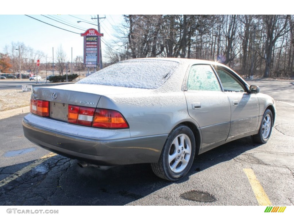 1999 ES 300 - Antique Sage Pearl / Grey photo #6
