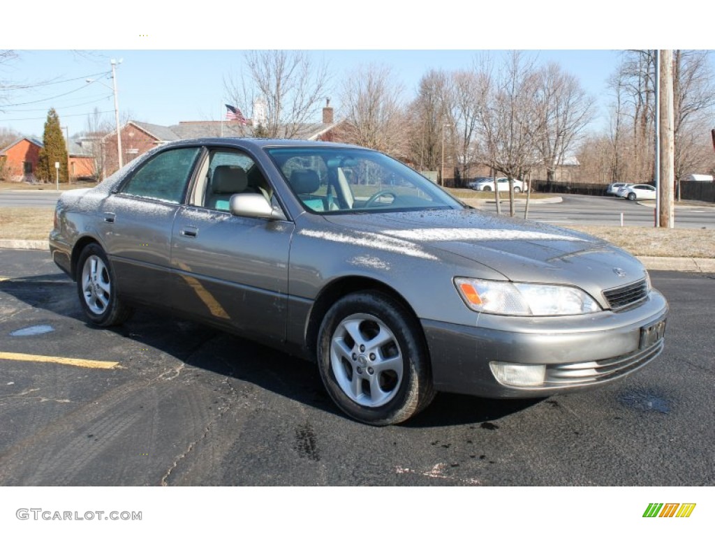 1999 ES 300 - Antique Sage Pearl / Grey photo #8