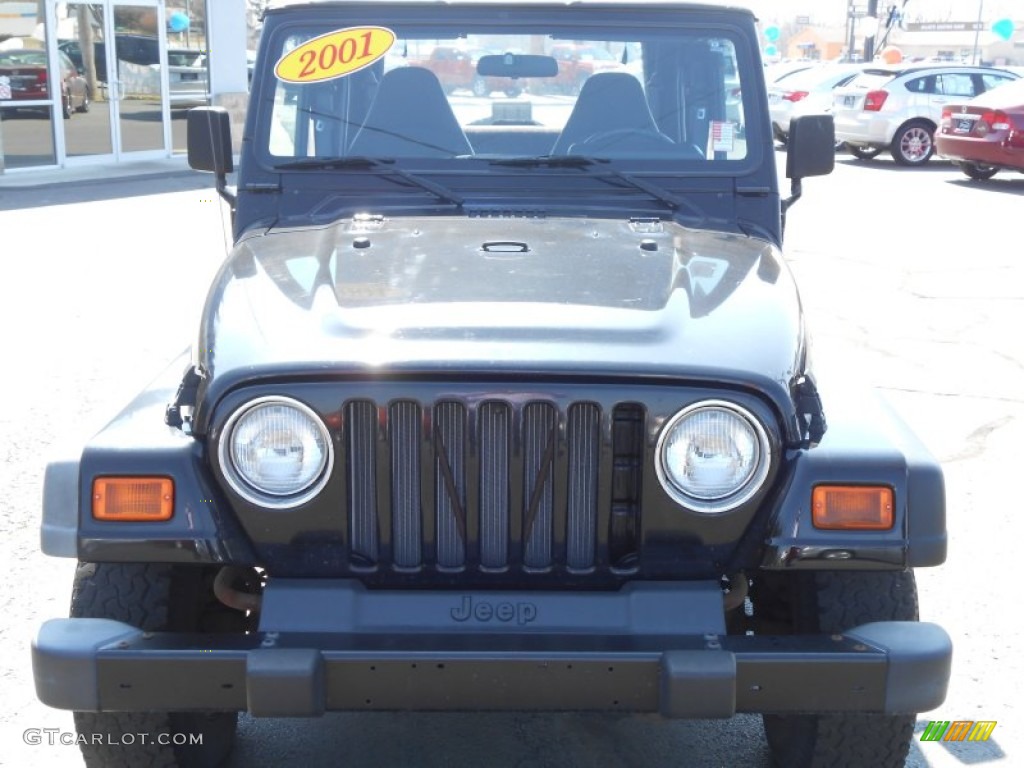 2001 Wrangler Sport 4x4 - Black / Agate Black photo #19