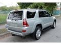 2005 Titanium Metallic Toyota 4Runner Limited 4x4  photo #10