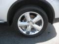 Bright Silver Metallic - Durango Citadel Photo No. 17