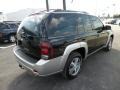 2006 Black Chevrolet TrailBlazer LT 4x4  photo #7