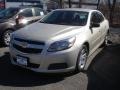 Champagne Silver Metallic - Malibu LS Photo No. 1