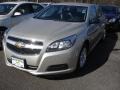 Champagne Silver Metallic - Malibu LS Photo No. 1